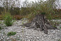 DSC09048 - Bernhard Saalfeld