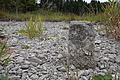 DSC09049 - Bernhard Saalfeld