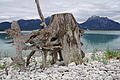DSC09051 - Bernhard Saalfeld