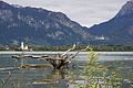 DSC09066 - Bernhard Saalfeld