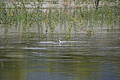 DSC09075 - Bernhard Saalfeld