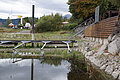 DSC09076 - Bernhard Saalfeld