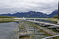 DSC09077 - Bernhard Saalfeld