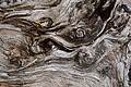 DSC09087 - Bernhard Saalfeld