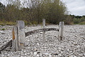 DSC09092 - Bernhard Saalfeld