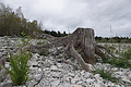 DSC09093 - Bernhard Saalfeld