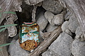 DSC09094 - Bernhard Saalfeld
