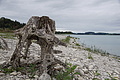 DSC09099 - Bernhard Saalfeld