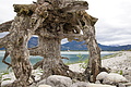 DSC09100 - Bernhard Saalfeld