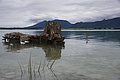 DSC09103 - Bernhard Saalfeld