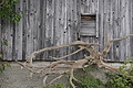 DSC09111 - Bernhard Saalfeld