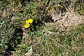 DSC09140 - Bernhard Saalfeld