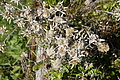 DSC09143 - Bernhard Saalfeld