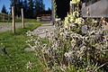 DSC09144 - Bernhard Saalfeld