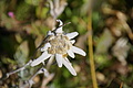 DSC09145 - Bernhard Saalfeld