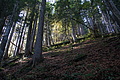 DSC09148 - Bernhard Saalfeld