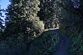 DSC09224 - Bernhard Saalfeld