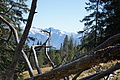 DSC09226 - Bernhard Saalfeld