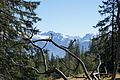 DSC09228 - Bernhard Saalfeld