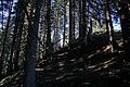 DSC09246 - Bernhard Saalfeld