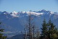 DSC09254 - Bernhard Saalfeld
