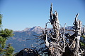 DSC09257 - Bernhard Saalfeld