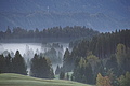 DSC09264 - Bernhard Saalfeld