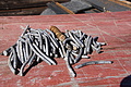 DSC09334 - Bernhard Saalfeld