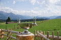 077-0873 - Bernhard Saalfeld