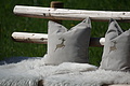 077-0893 - Bernhard Saalfeld