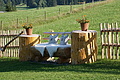 077-0913 - Bernhard Saalfeld