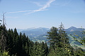 077-1007 - Bernhard Saalfeld