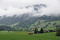 077-1150 - Bernhard Saalfeld