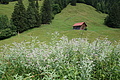 077-1207 - Bernhard Saalfeld