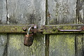 077-1209 - Bernhard Saalfeld