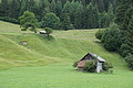 077-1281 - Bernhard Saalfeld