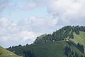 077-1318 - Bernhard Saalfeld