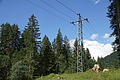 077-1393 - Bernhard Saalfeld