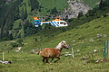 077-1500 - Bernhard Saalfeld