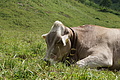 077-1502 - Bernhard Saalfeld