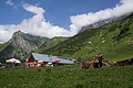 077-1504 - Bernhard Saalfeld
