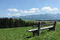 100-1179 - Bernhard Saalfeld