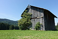 100-1183 - Bernhard Saalfeld
