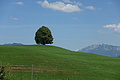100-1200 - Bernhard Saalfeld