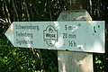 100-1203 - Bernhard Saalfeld