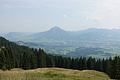 100-1223 - Bernhard Saalfeld