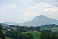 100-1271 - Bernhard Saalfeld