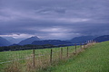100-1278 - Bernhard Saalfeld