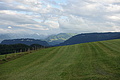 100-1330 - Bernhard Saalfeld