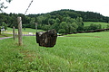 100-1346 - Bernhard Saalfeld